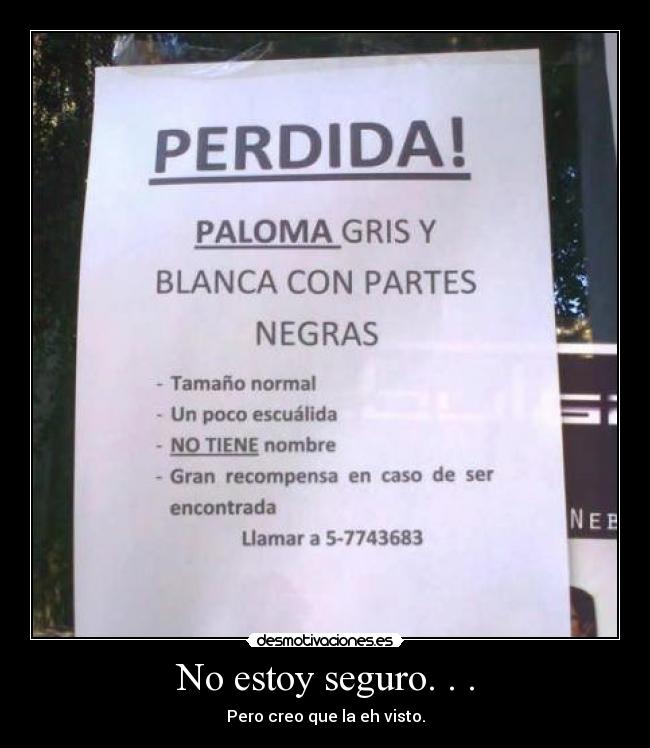 No estoy seguro. . . - Pero creo que la eh visto.