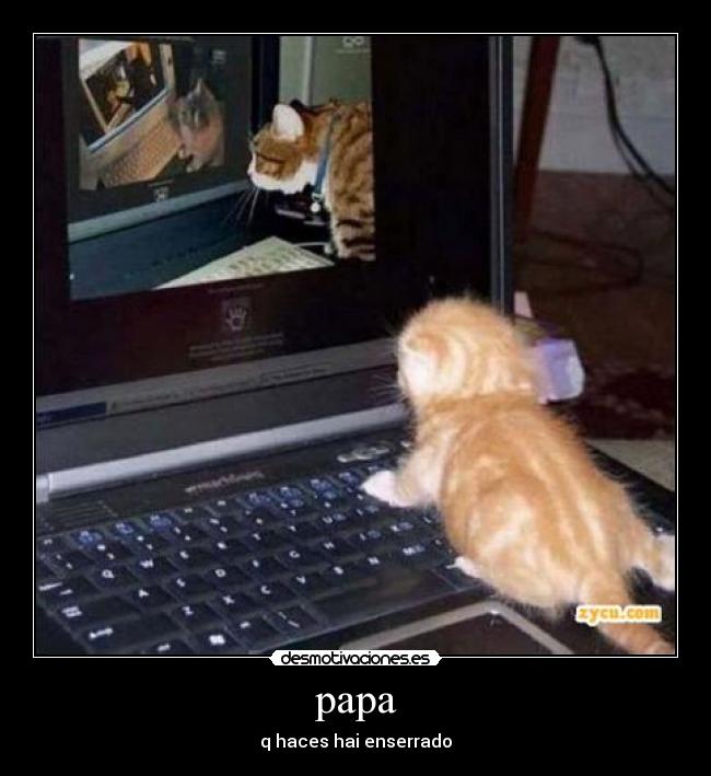 papa - q haces hai enserrado