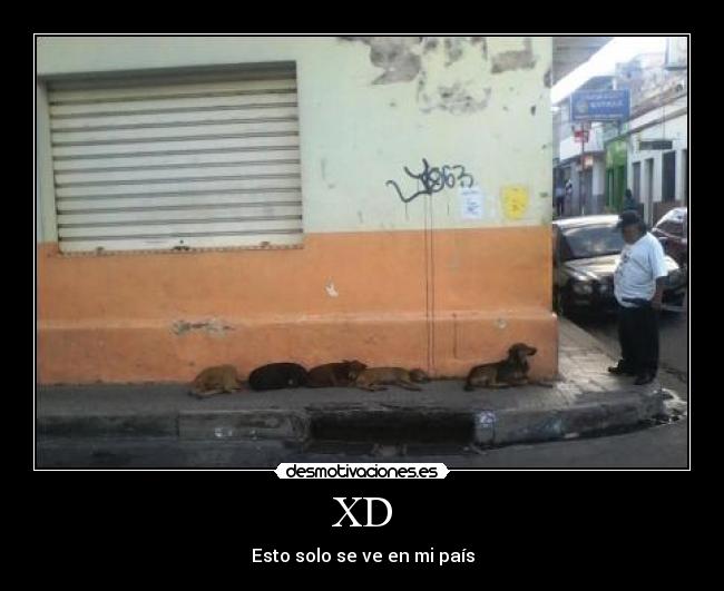XD - Esto solo se ve en mi país