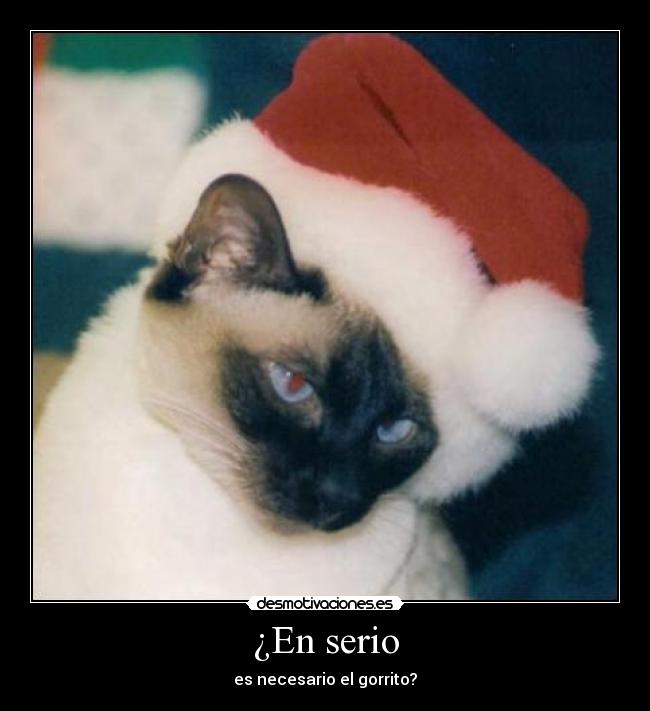 ¿En serio -