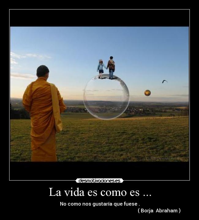 La vida es como es ... -