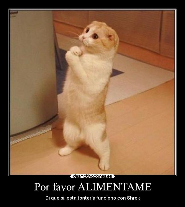 Por favor ALIMENTAME -