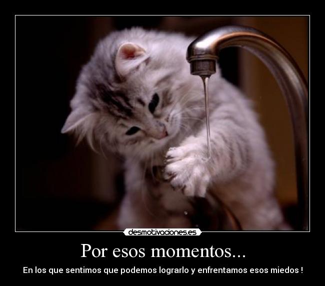 Por esos momentos... - En los que sentimos que podemos lograrlo y enfrentamos esos miedos !