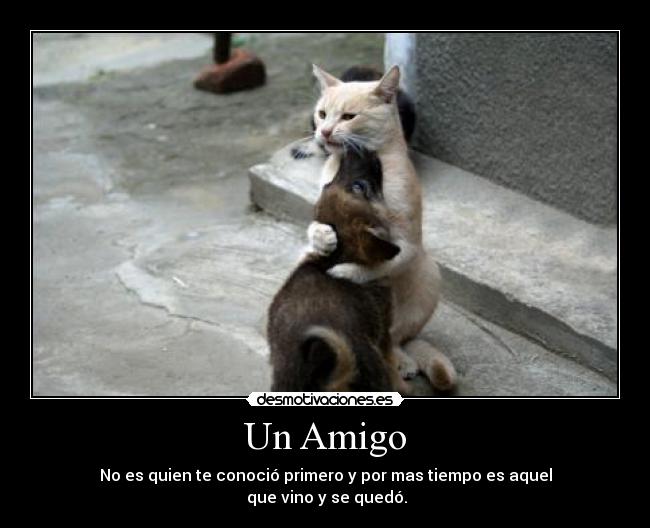 Un Amigo - 