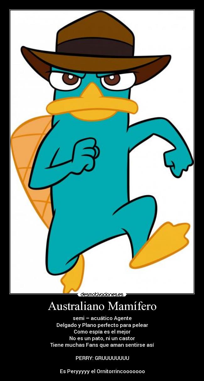 Australiano Mamífero - semi – acuático Agente
Delgado y Plano perfecto para pelear
Como espía es el mejor
No es un pato, ni un castor
Tiene muchas Fans que aman sentirse así

PERRY: GRUUUUUUUU

Es Peryyyyy el Ornitorrincooooooo