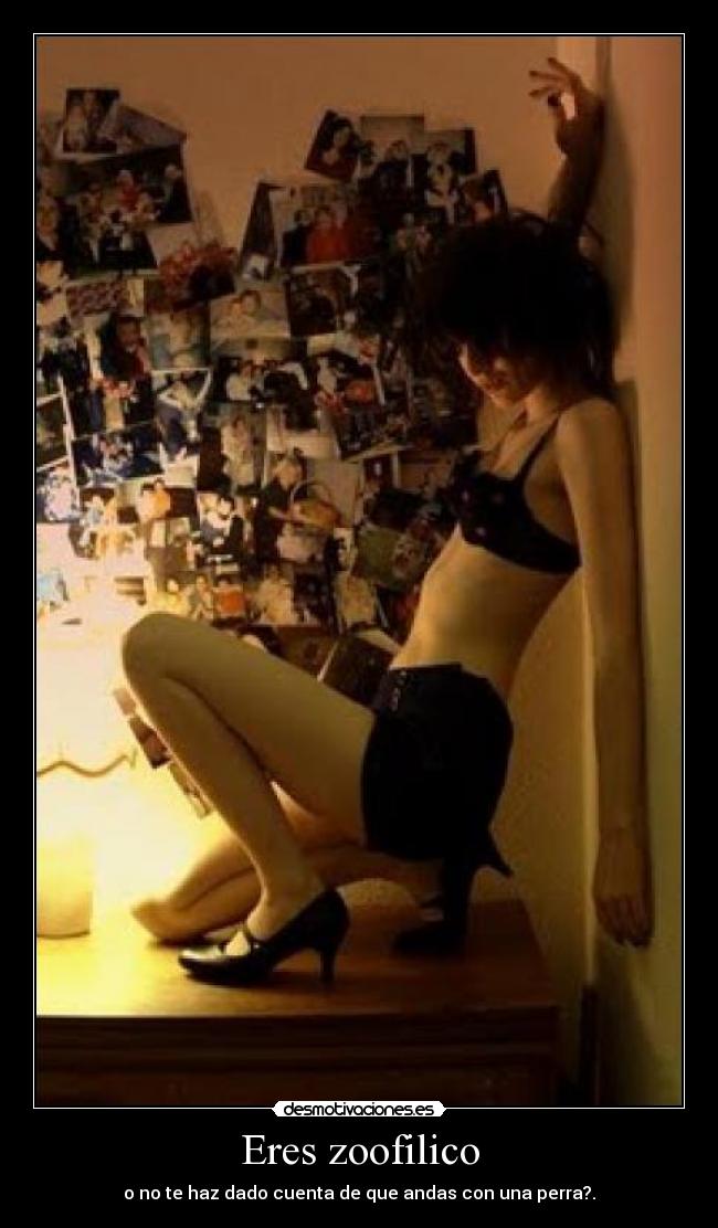 Eres zoofilico - o no te haz dado cuenta de que andas con una perra?.