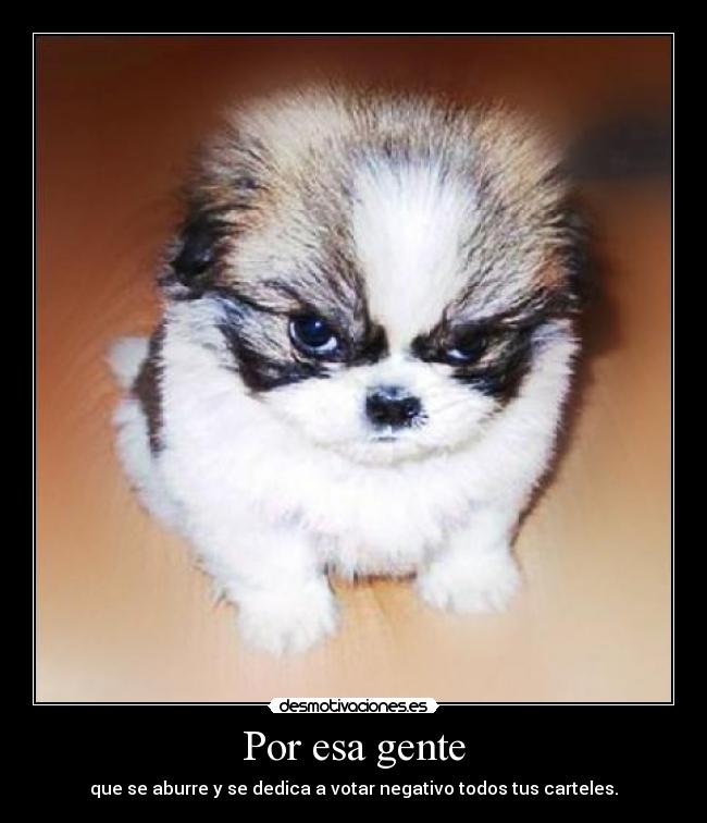 Por esa gente - que se aburre y se dedica a votar negativo todos tus carteles.