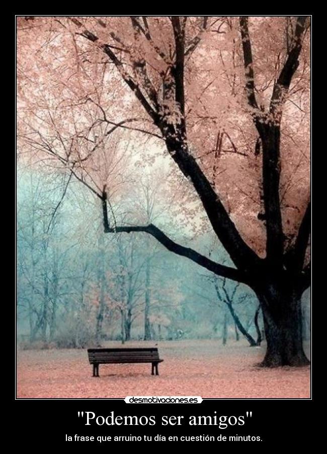 Podemos ser amigos -