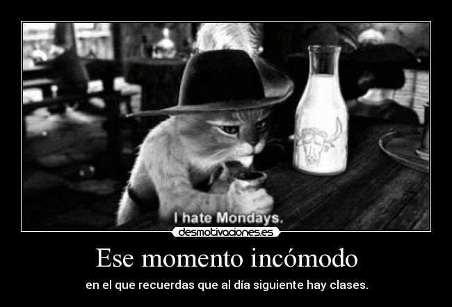 carteles moroch0x gatastrofe putossss luneeees paralosdelaultimafila feliznavidad desmotivaciones