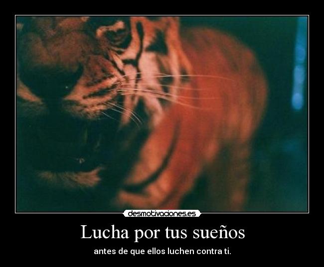 Lucha por tus sueños - antes de que ellos luchen contra ti.