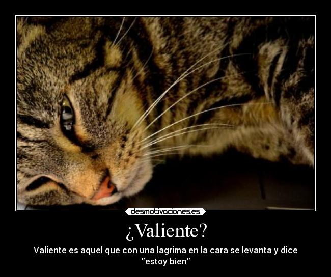 ¿Valiente? - 