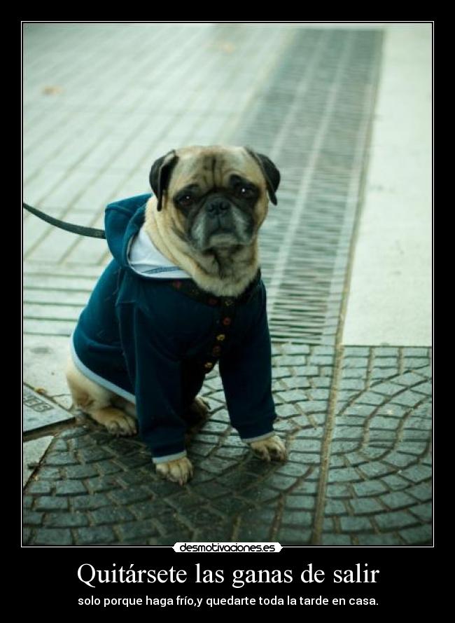 Quitársete las ganas de salir - solo porque haga frío,y quedarte toda la tarde en casa.