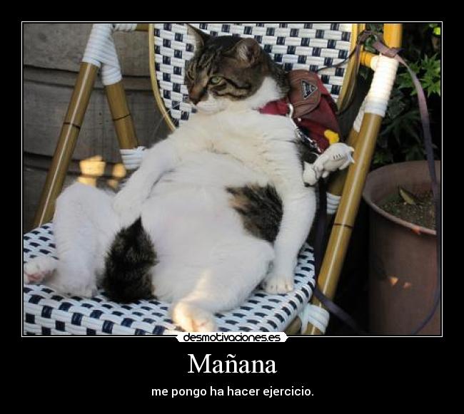Mañana - me pongo ha hacer ejercicio.