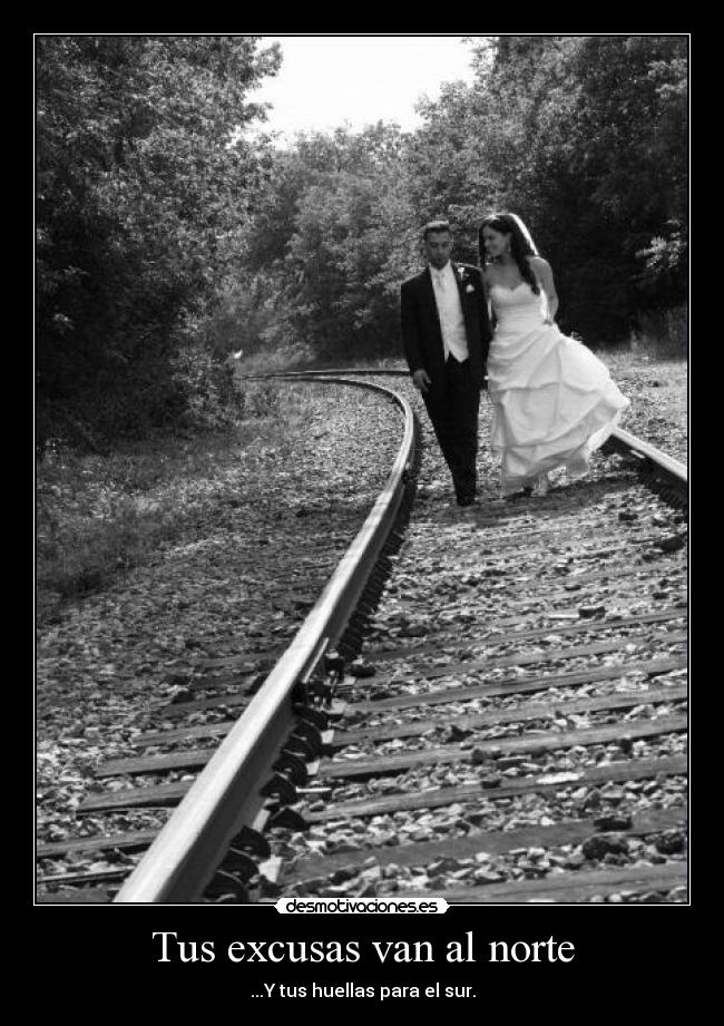 Tus excusas van al norte -