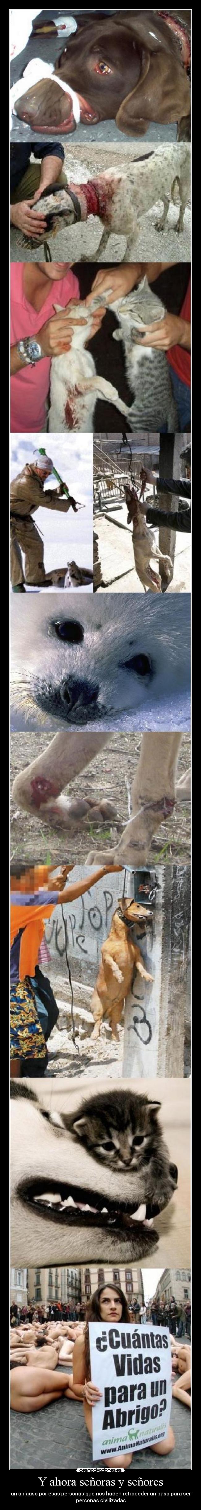 carteles lerex14 iironica son guaysisimas kittag desmotivaciones