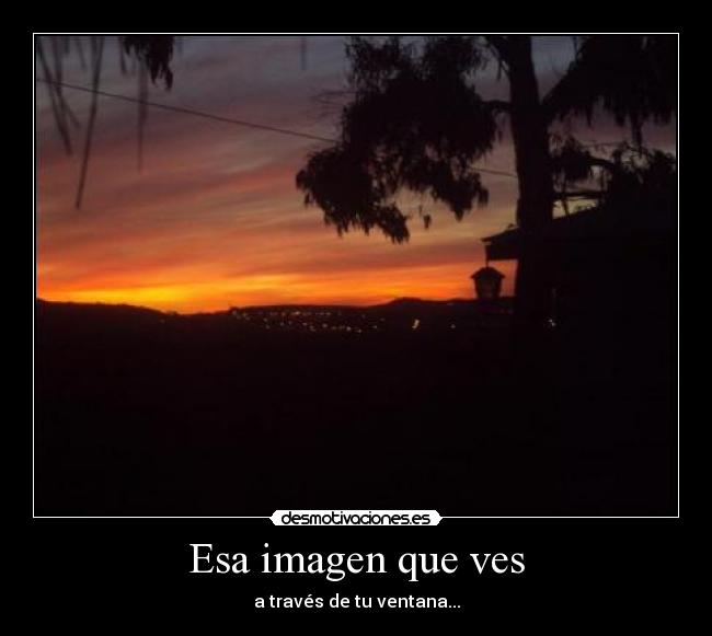 Esa imagen que ves -