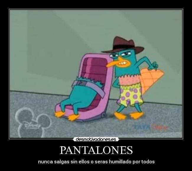 PANTALONES -
