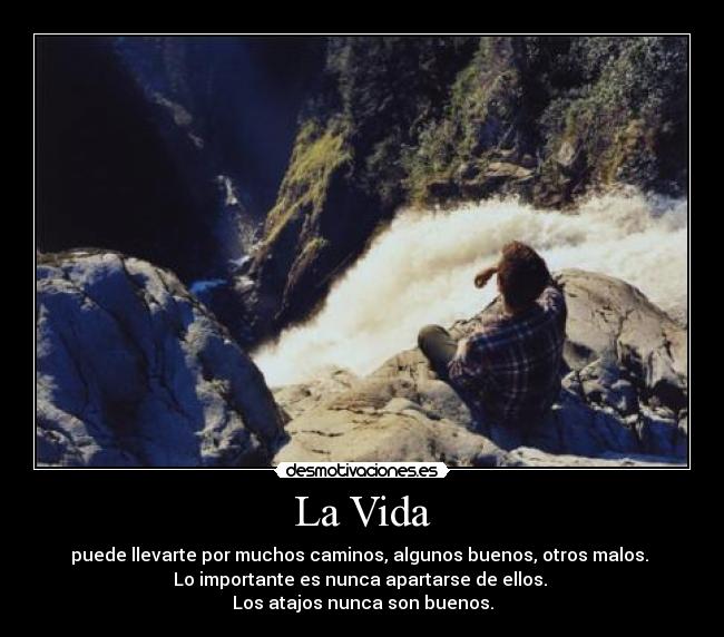 La Vida - 