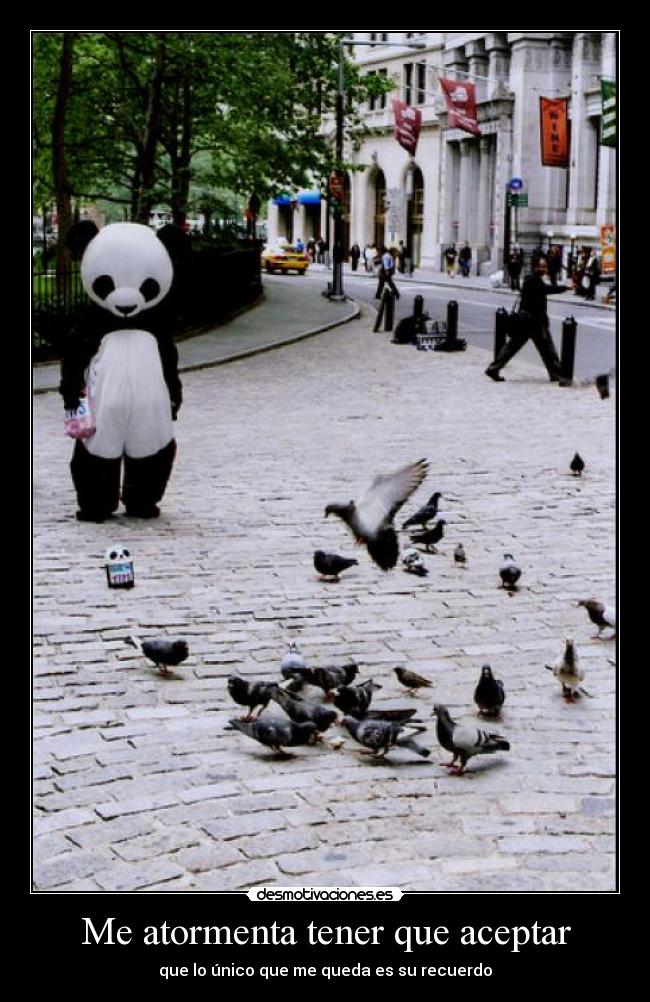 Me atormenta tener que aceptar -