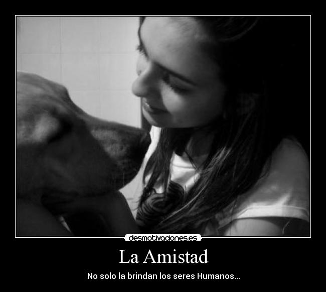 carteles amistad daniela marin gil desmotivaciones