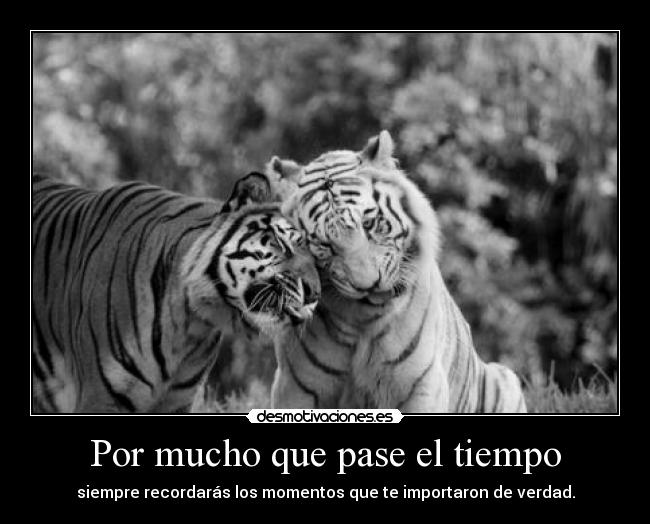 Por mucho que pase el tiempo - siempre recordarás los momentos que te importaron de verdad.