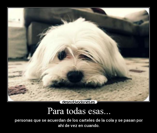 Para todas esas... -