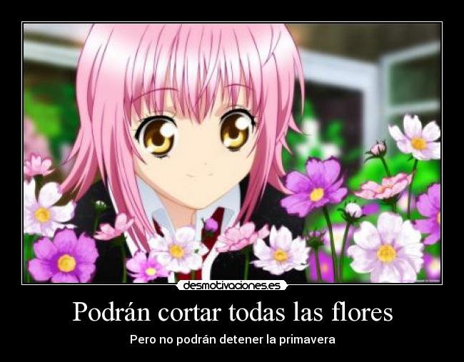Podrán cortar todas las flores -
