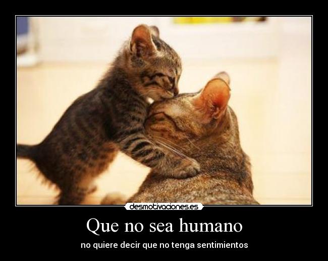 Que no sea humano -