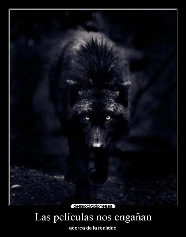Las películas nos engañan - acerca de la realidad.