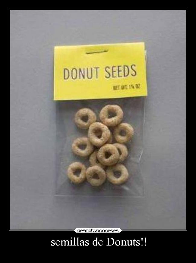 semillas de Donuts!! -