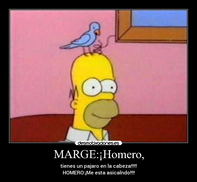 MARGE:¡Homero, - tienes un pajaro en la cabeza!!!!!
HOMERO:¡Me esta asicalndo!!!!