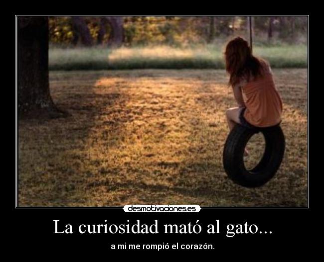 La curiosidad mató al gato... - 