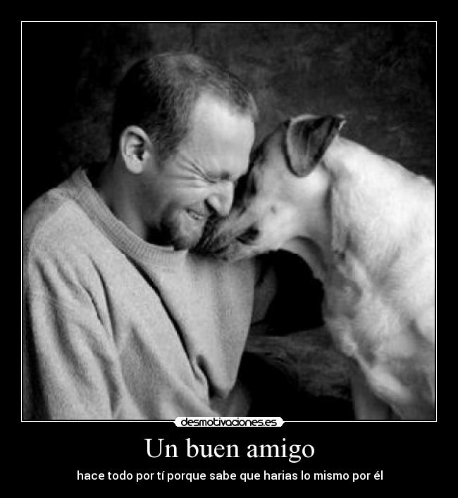 Un buen amigo | Desmotivaciones