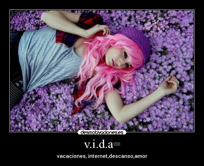 v.i.d.a= -
