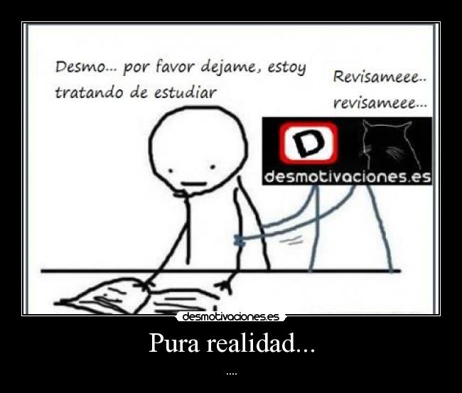 Pura realidad... - ....