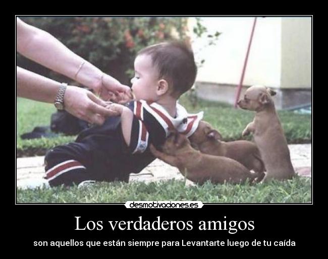 Los verdaderos amigos -