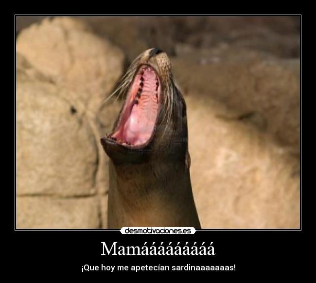Mamááááááááá -