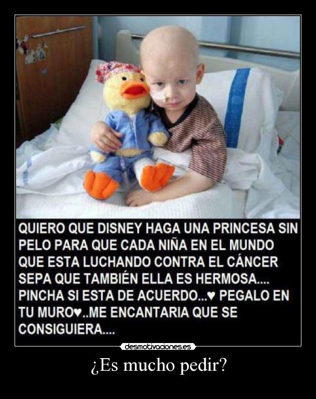 ¿Es mucho pedir? -