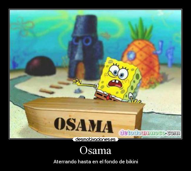 Osama - Aterrando hasta en el fondo de bikini