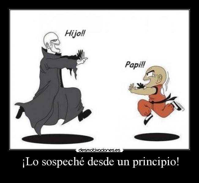 carteles krillin woldemort unidos por lazo familia desmotivaciones