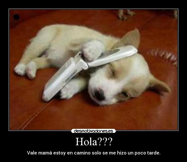Hola??? -