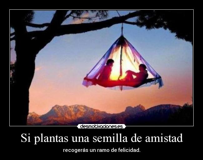 carteles amistad plantas una semilla amistad recogeras ramo felicidad desmotivaciones