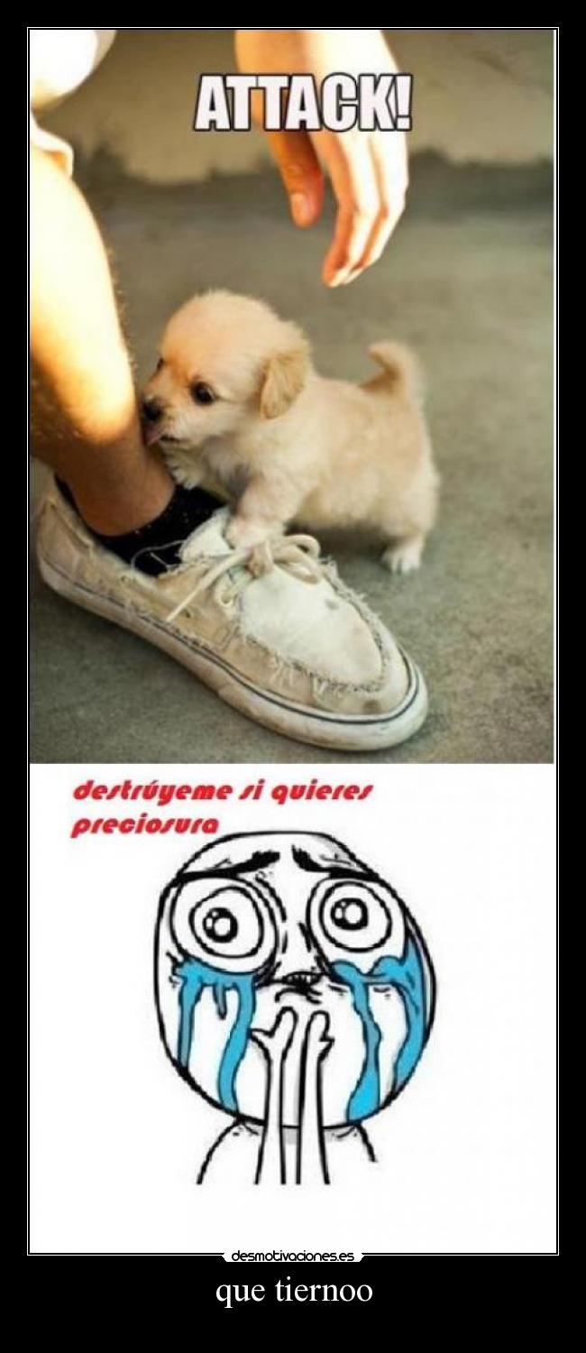 que tiernoo -