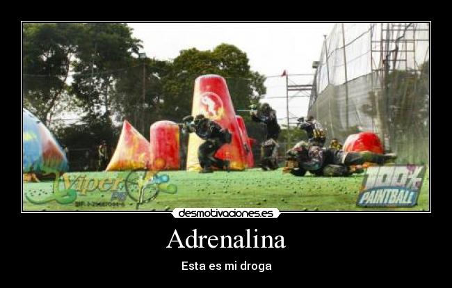 carteles  desmotivaciones