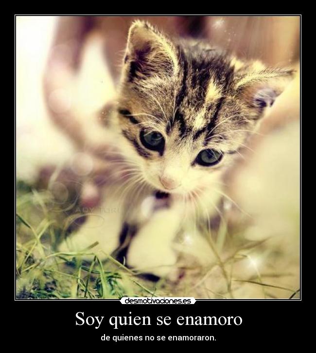 Soy quien se enamoro - de quienes no se enamoraron.