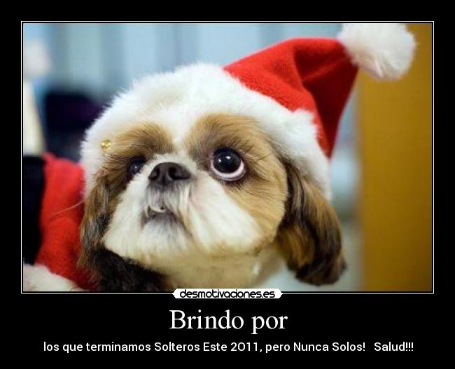 Brindo por - los que terminamos Solteros Este 2O11, pero Nunca Solos! ♥ Salud!!!