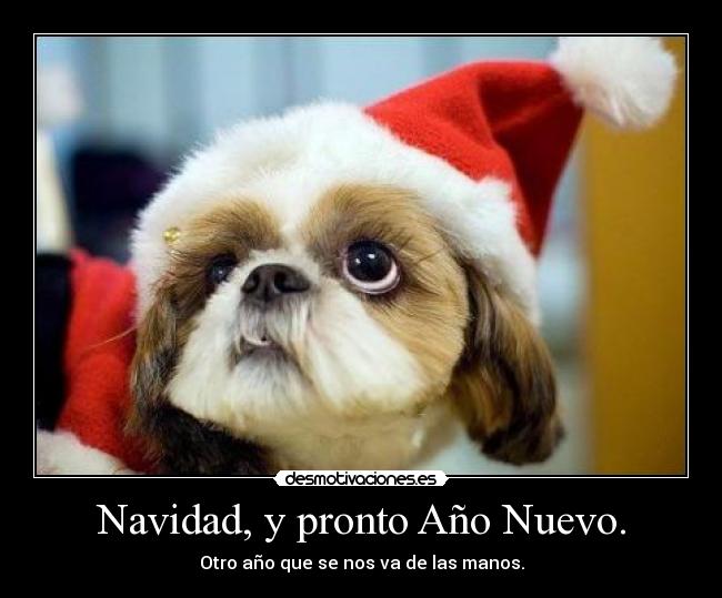 Navidad, y pronto Año Nuevo. - Otro año que se nos va de las manos.