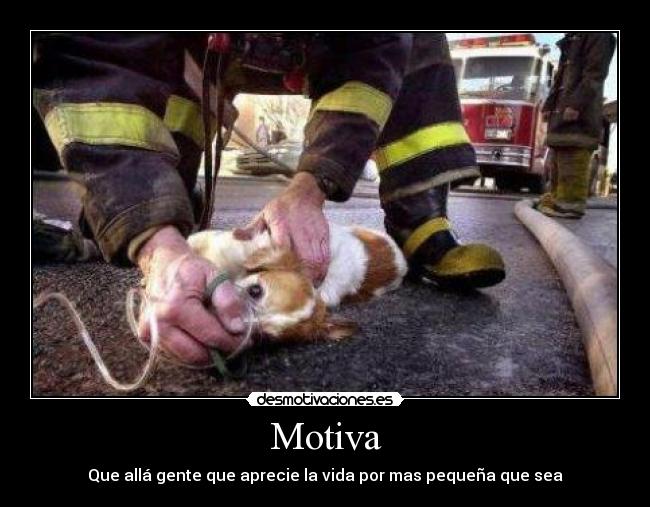 Motiva -