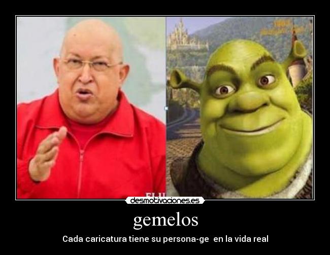 carteles par gemelos desmotivaciones