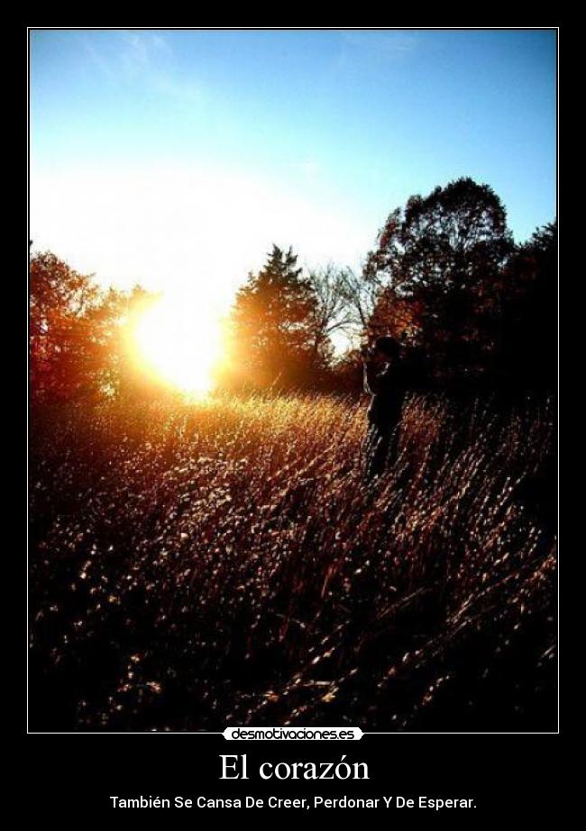 El corazón - También Se Cansa De Creer, Perdonar Y De Esperar.